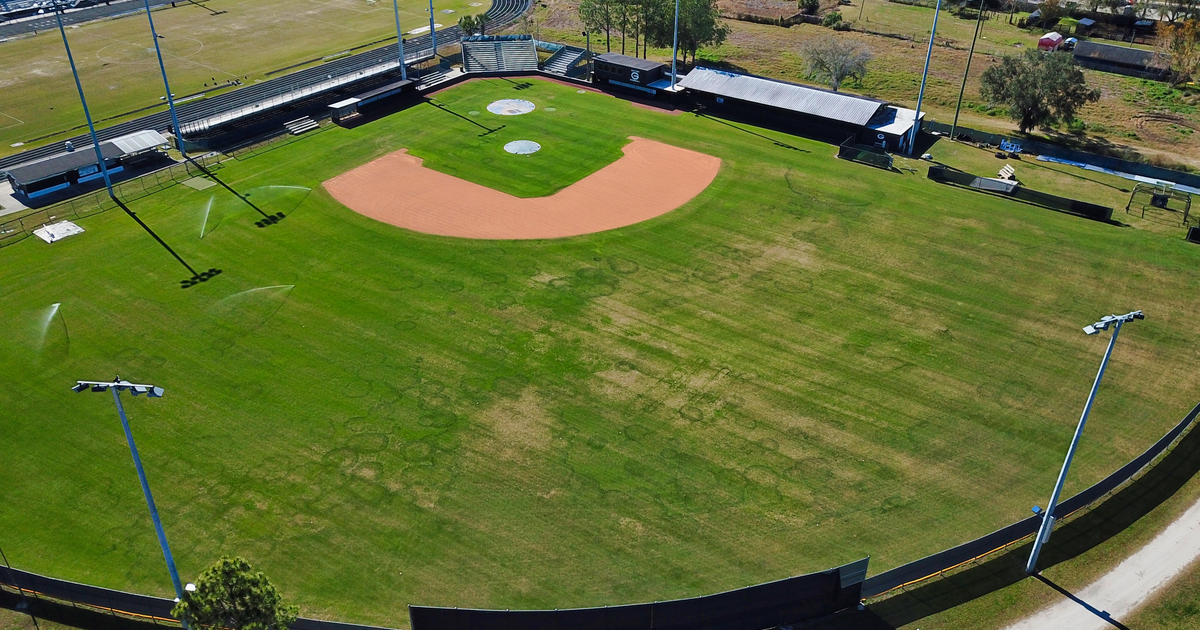 Rent Field - Baseball in Tampa