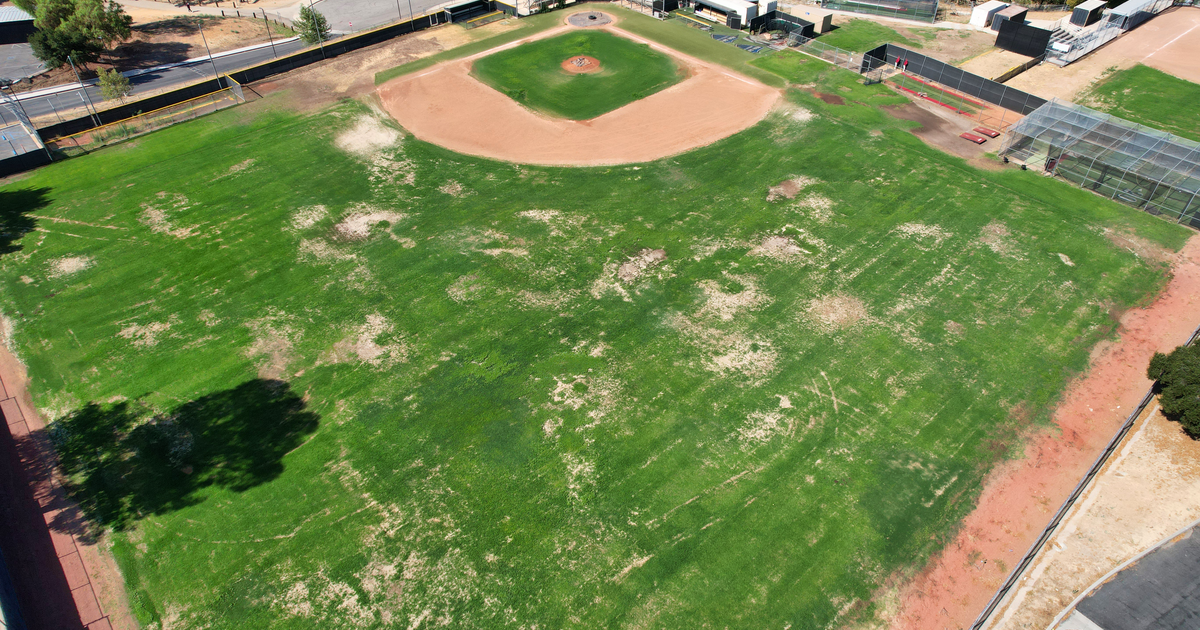 Rent Field - Baseball Varsity in Oak Park